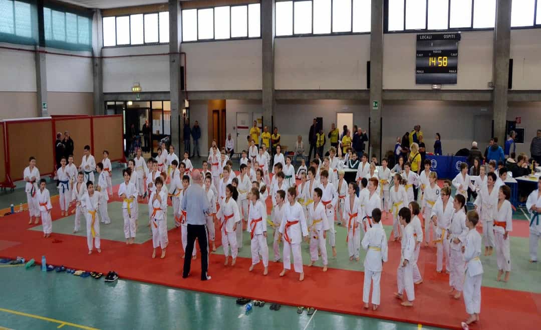 Torneo delle Cinture: Piccoli Judoka Crescono